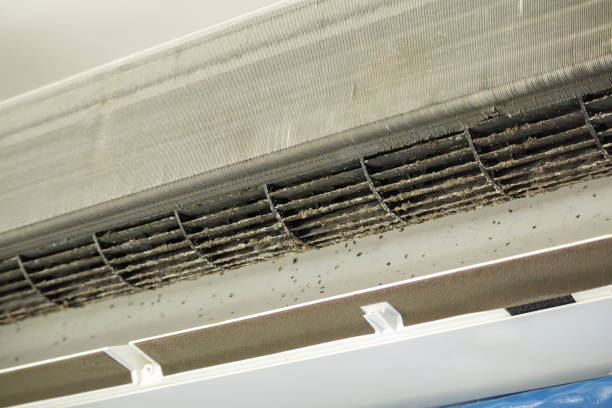 Best Air Duct Cleaning Cost  in Flemingsburg, KY