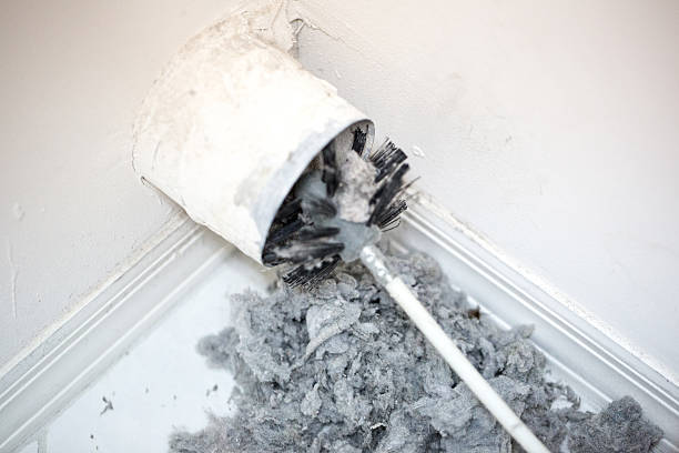 Best Affordable HVAC Duct Cleaning  in Flemingsburg, KY